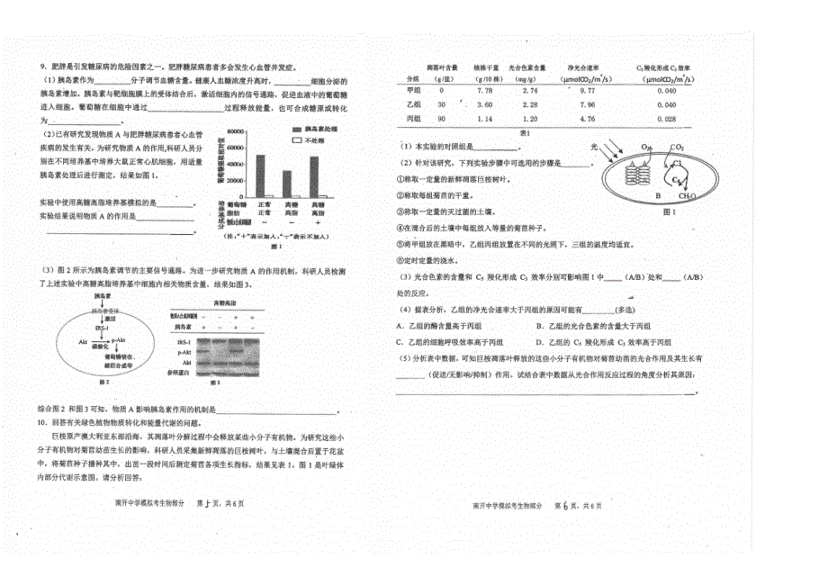 天津南开中学2019届高三模拟考生物试题 PDF版含答案.pdf_第3页