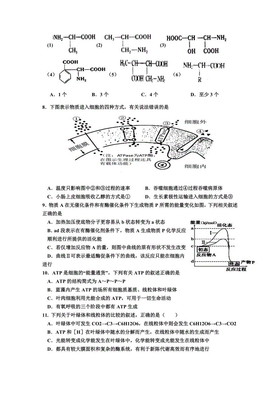 山东省淄博第一中学2016届高三上学期期中模块考试生物试题 WORD版含答案.doc_第2页