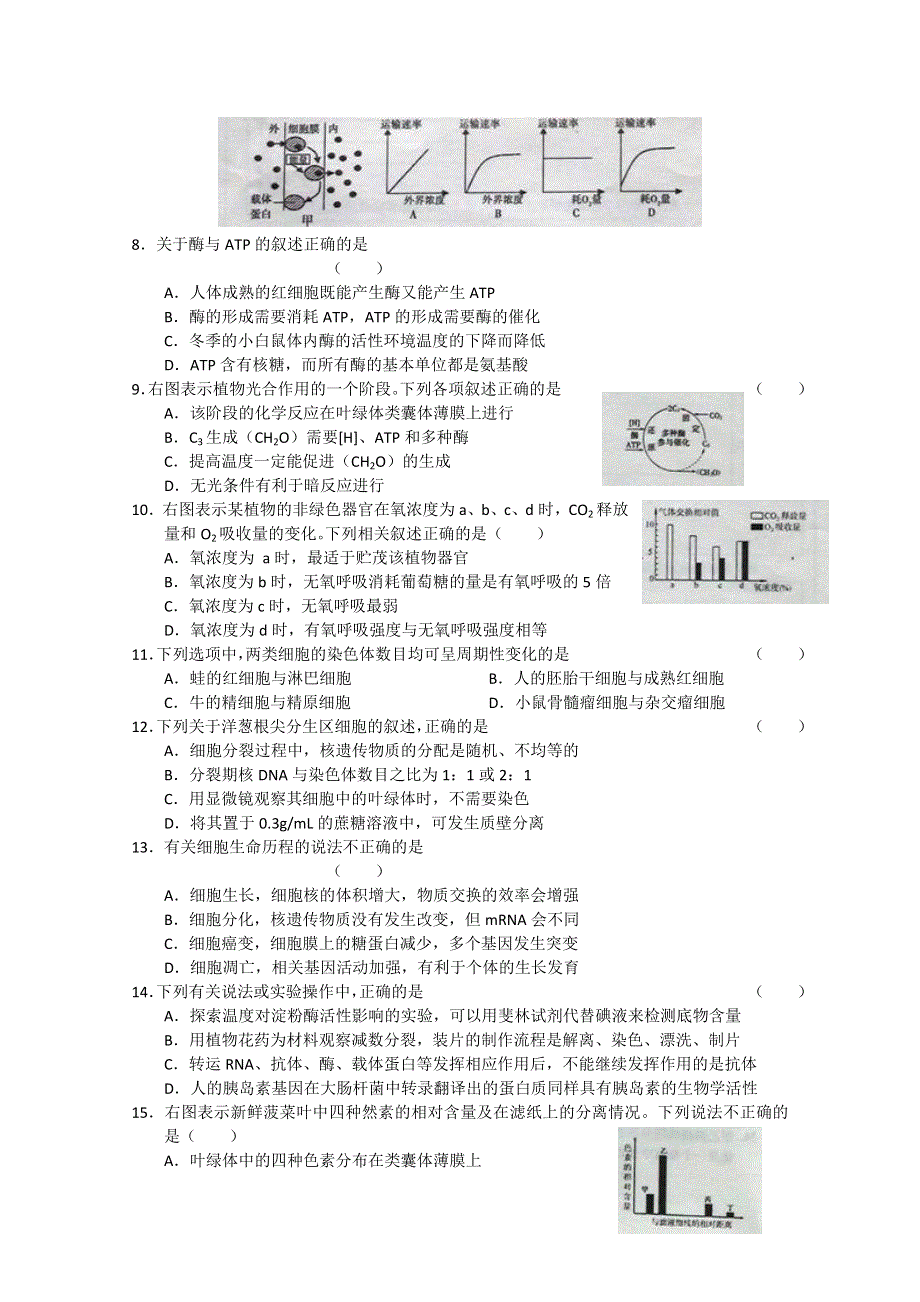 北京市朝阳区2012届高三上学期期中考试 生物试题.doc_第2页