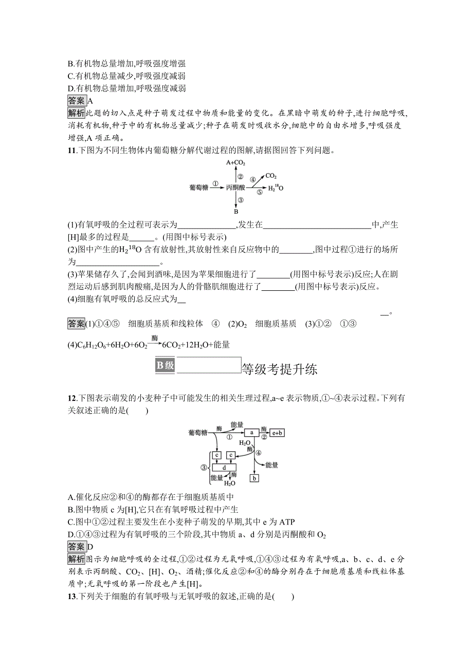 新教材2021-2022学年高中生物人教版必修1训练：第5章第3节　细胞呼吸的原理和应用 WORD版含解析.docx_第3页