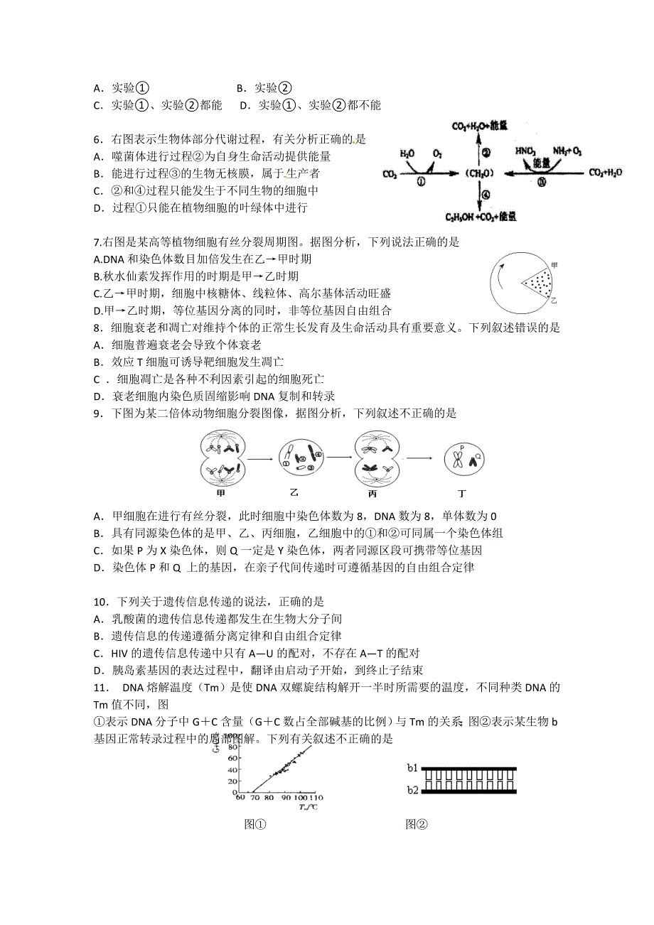 北京市朝阳区2013届高三上学期期末考试生物试题 WORD版含答案.doc_第2页