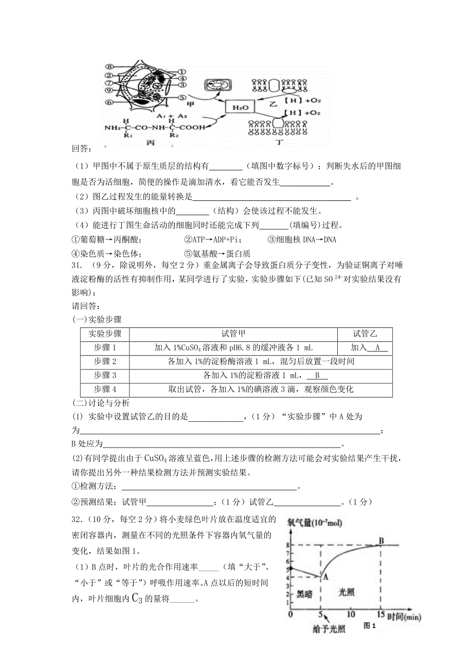 广东省汕头市潮师高级中学2017届高三上学期期中考试理科综合-生物试题 WORD版含答案.doc_第3页