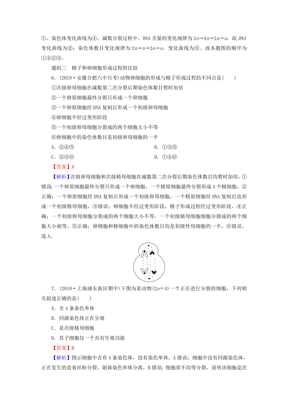 2020-2021学年新教材高中生物 第2章 基因和染色体的关系 1 第1课时 减数分裂（含实验）同步作业（含解析）新人教版必修2.doc_第3页