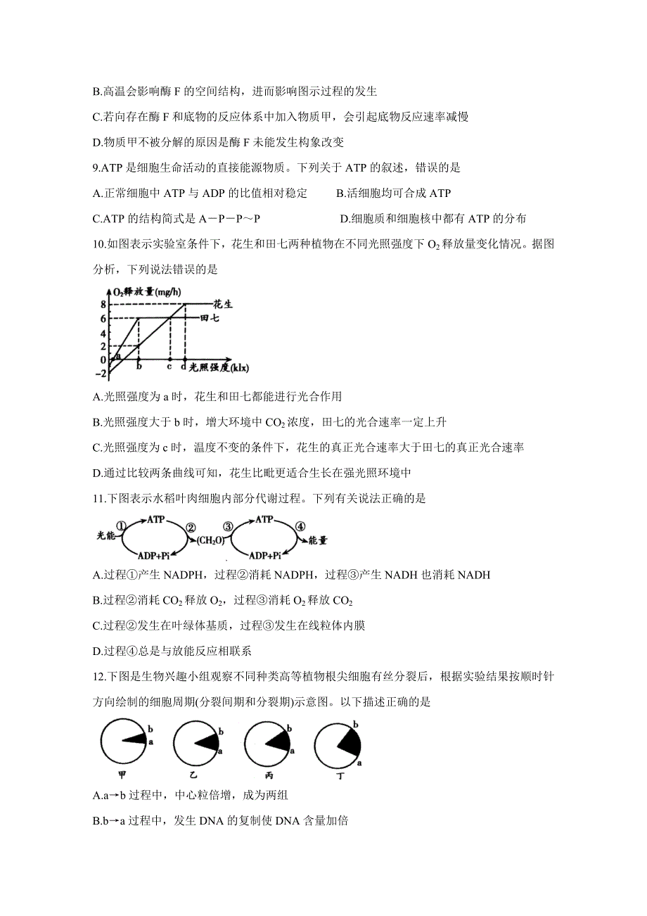 山东省潍坊市2020-2021学年高一上学期期末考试 生物 WORD版含答案BYCHUN.doc_第3页