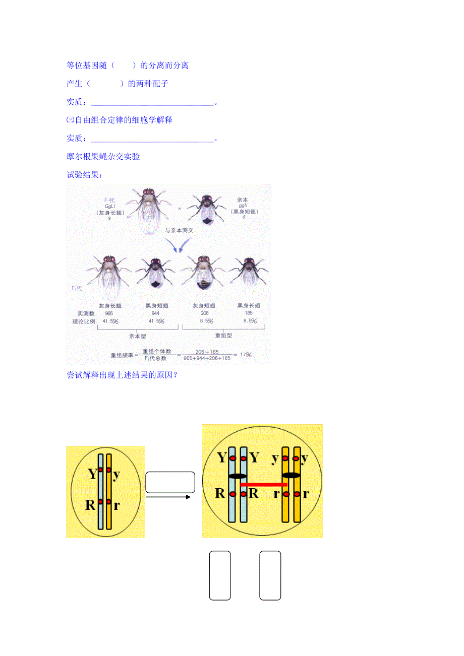 北京市第四中学2016秋高一生物人教版专题学案：必修二 遗传的基本规律专题 6基因在染色体上 WORD版含答案.doc_第2页