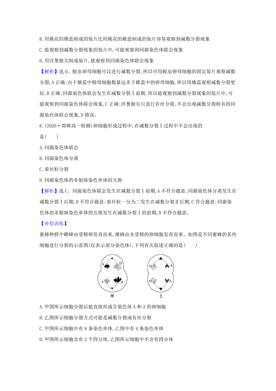 2020-2021学年新教材高中生物 第2章 基因和染色体的关系 1.1 减数分裂检测（含解析）新人教版必修2.doc_第2页