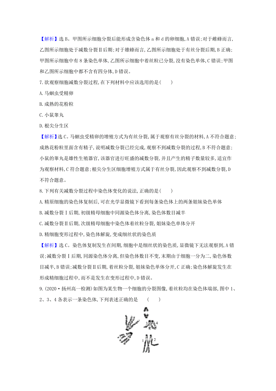 2020-2021学年新教材高中生物 第2章 基因和染色体的关系 1.1 减数分裂检测（含解析）新人教版必修2.doc_第3页