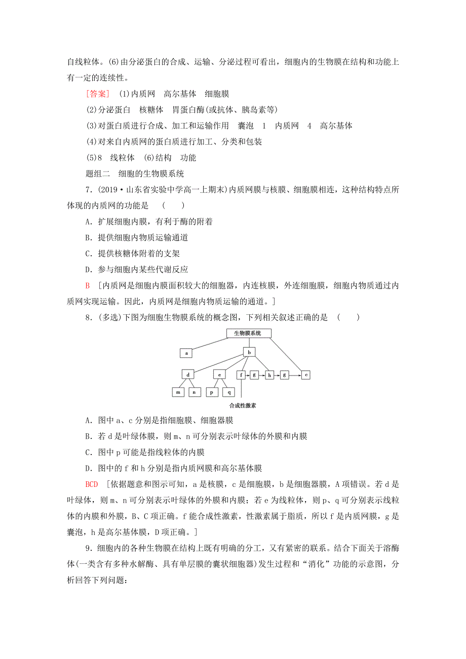 2020-2021学年新教材高中生物 第3章 细胞的基本结构 第2节 第2课时 细胞器之间的协调配合和细胞的生物膜系统课时分层作业（含解析）新人教版必修1.doc_第3页