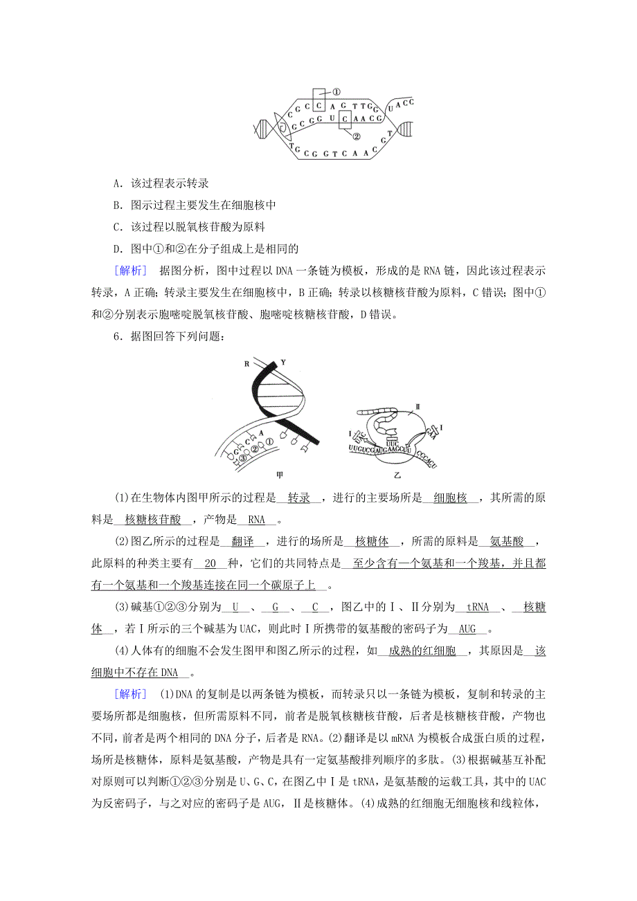 2020-2021学年新教材高中生物 第4章 基因的表达 第1节 基因指导蛋白质的合成巩固训练（含解析）新人教版必修2.doc_第2页