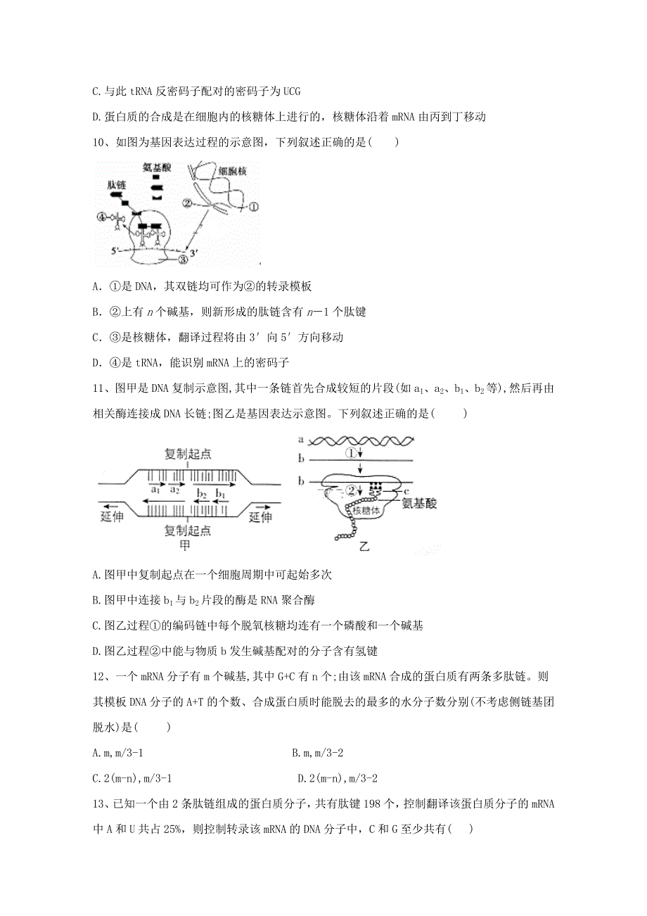 2020-2021学年新教材高中生物 第4章 基因的表达 1 基因指导蛋白质的合成练习（含解析）新人教版必修2.doc_第3页