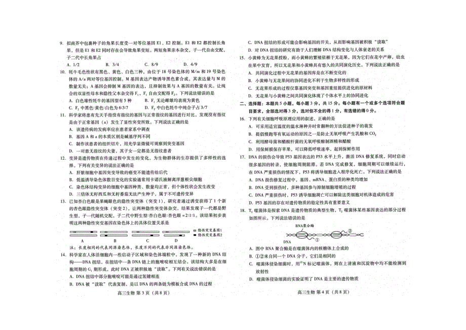 山东省潍坊市2022届高三生物上学期期中统考试题（pdf无答案）.pdf_第2页