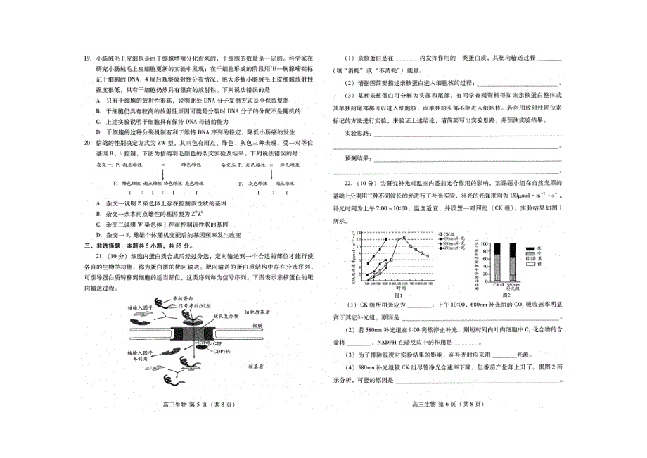 山东省潍坊市2022届高三生物上学期期中统考试题（pdf无答案）.pdf_第3页