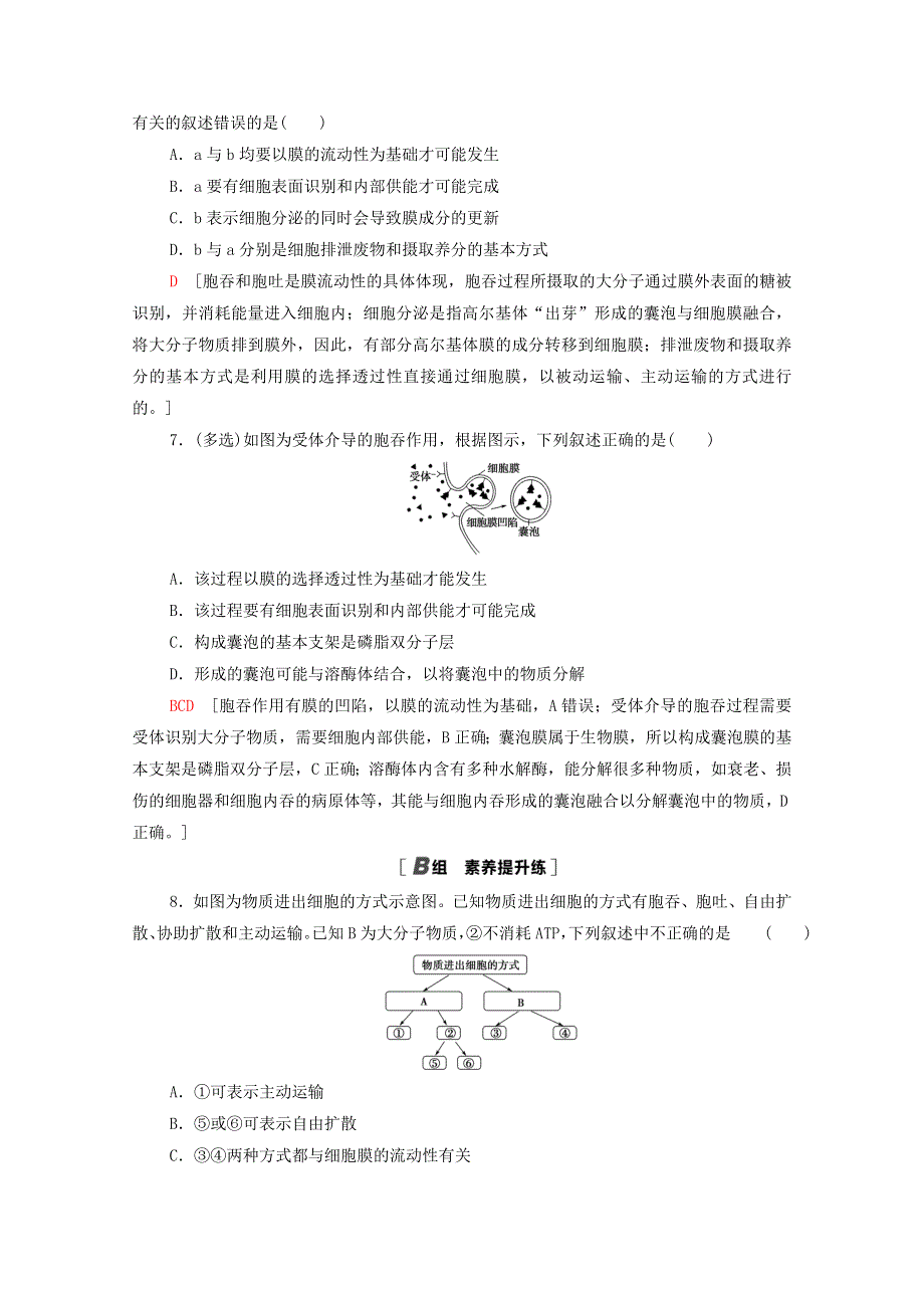 2020-2021学年新教材高中生物 第4章 细胞的物质输入和输出 第2节 主动运输与胞吞、胞吐课时分层作业（含解析）新人教版必修1.doc_第3页