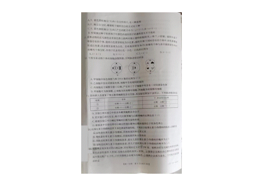 贵州省凤冈县2021-2022学年高一下学期 期中考试 生物试题 PDF版缺答案.pdf_第2页