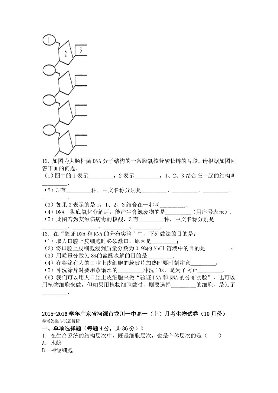 广东省河源市龙川一中2015-2016学年高一上学期月考生物试卷（10月份） WORD版含解析.doc_第3页