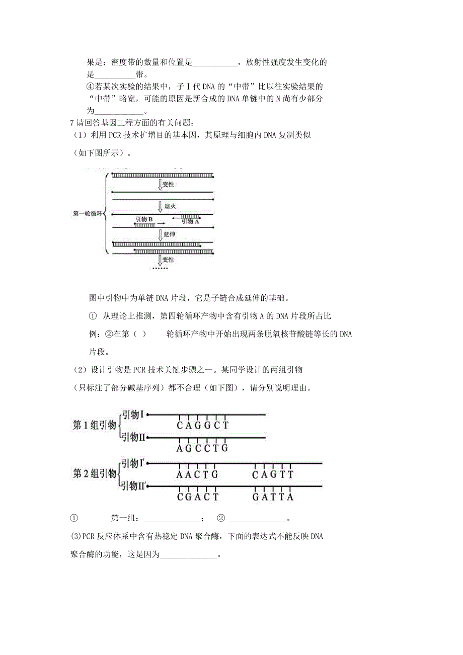 北京市第四中学高考生物总复习学案：遗传与进化——遗传的分子基础 DNA的复制及复制证据 .doc_第3页