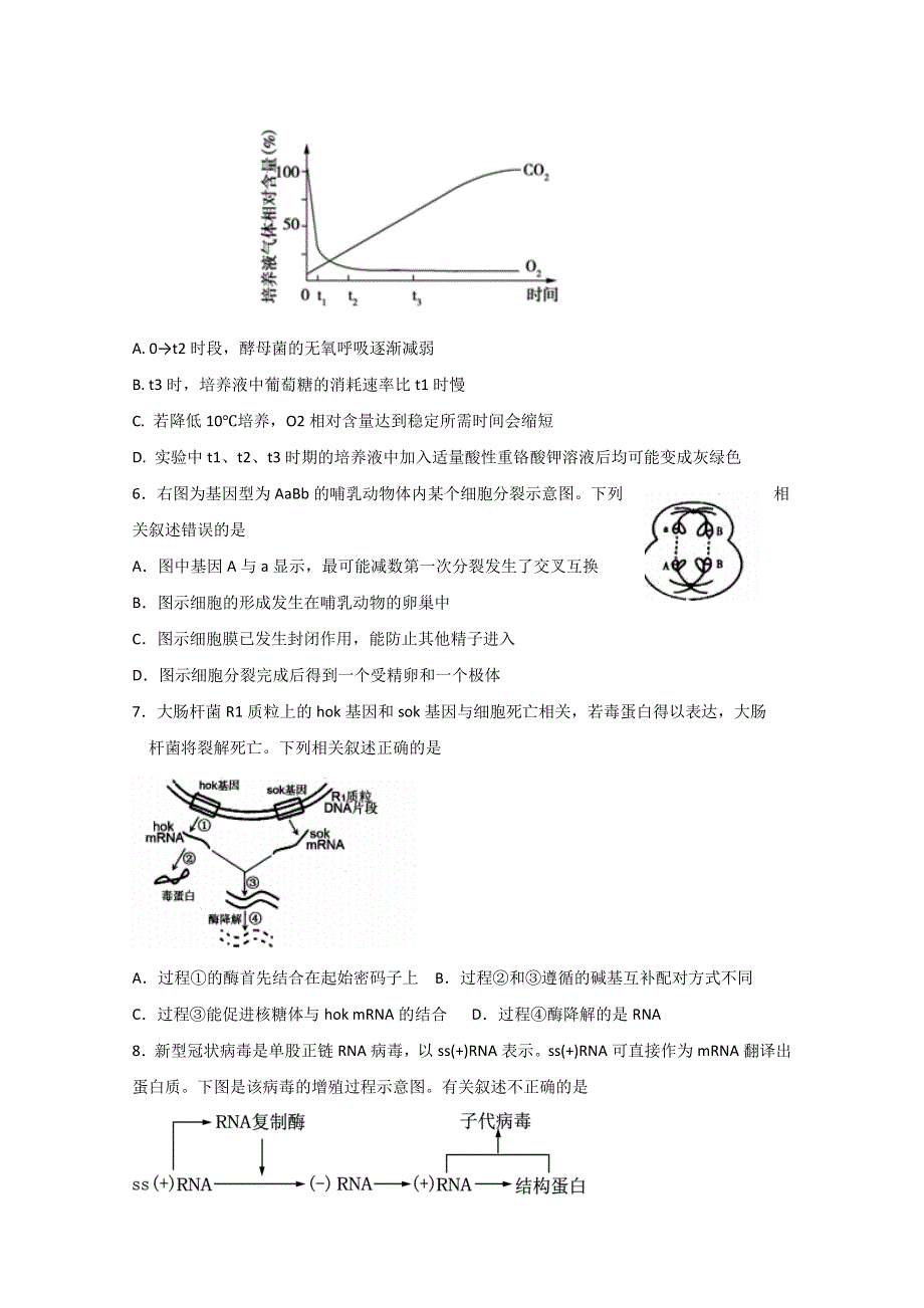 江苏省东海高级中学2020届高三考前模拟考试生物试题 WORD版含答案.doc_第2页