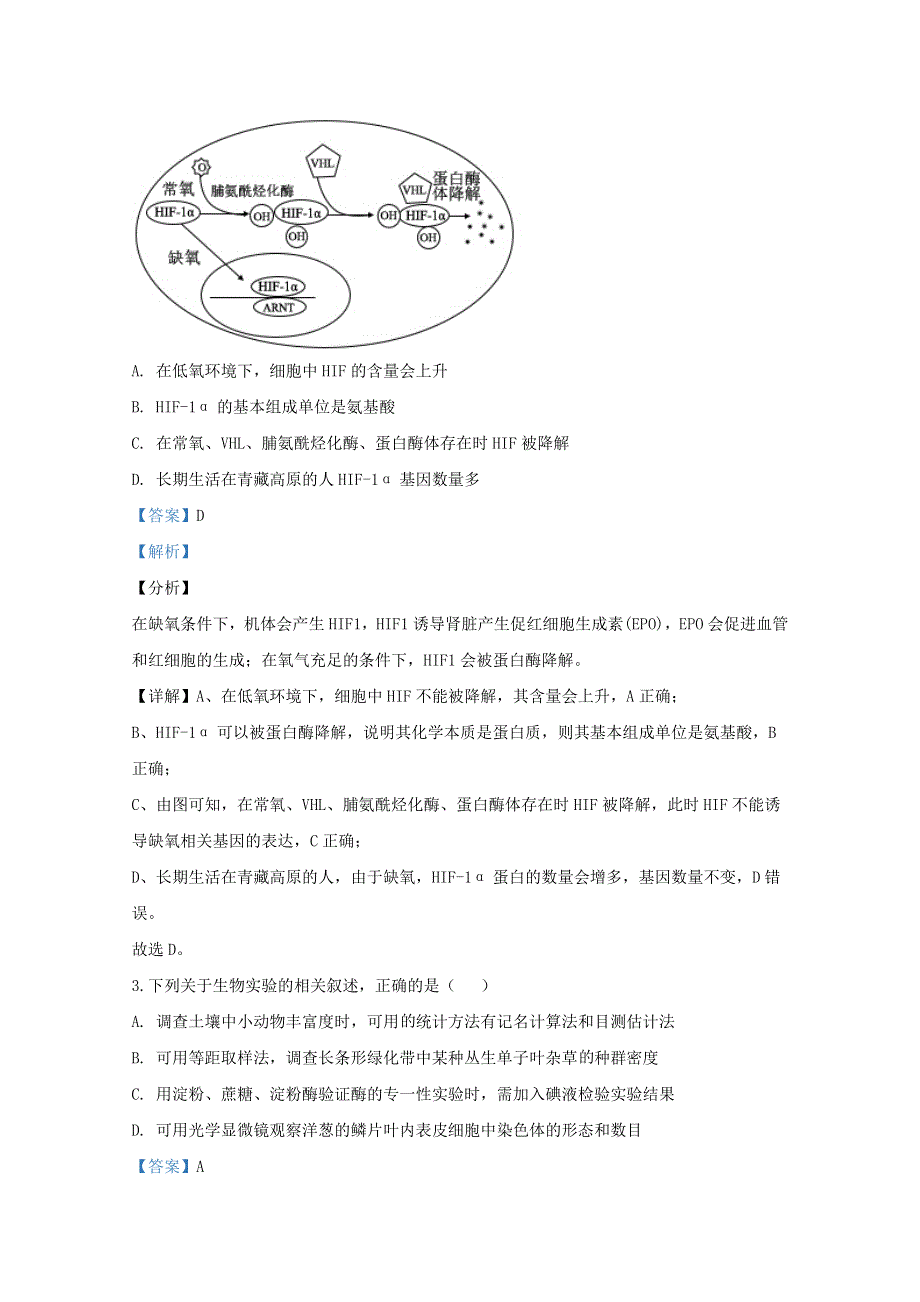 内蒙古赤峰市2020届高三生物上学期期末考试试题（含解析）.doc_第2页