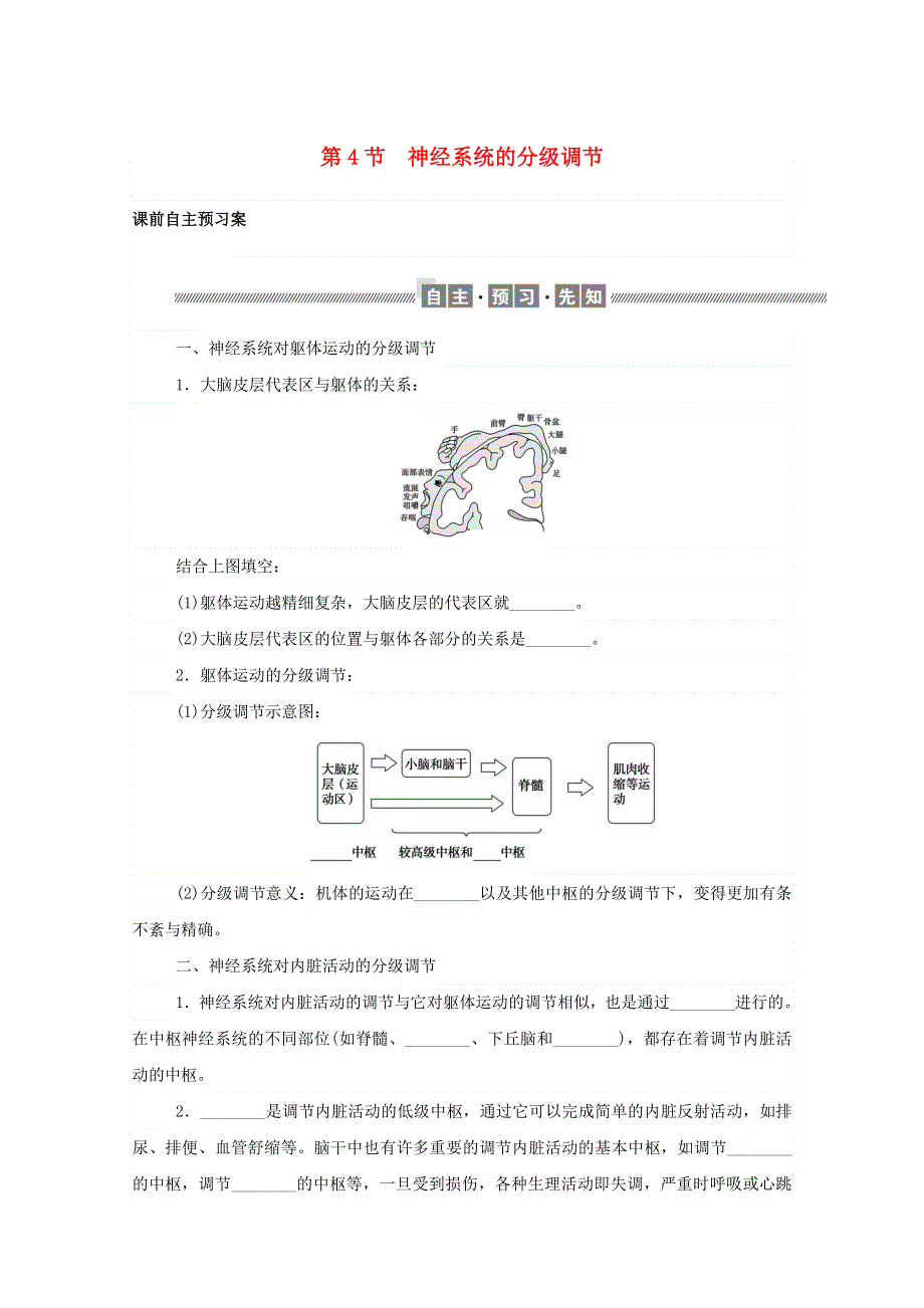 2020-2021学年新教材高中生物 第2章 神经调节 第4节 神经系统的分级调节课前习题（含解析）新人教版选择性必修1.doc_第1页