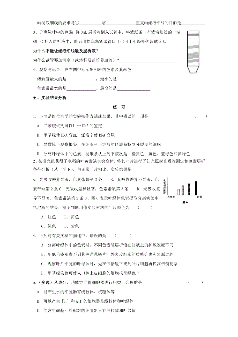 江苏省丹徒县大港中学2015届高三生物二轮复习学案：实验六、叶绿体色素的提取和分离 WORD版含答案.doc_第2页