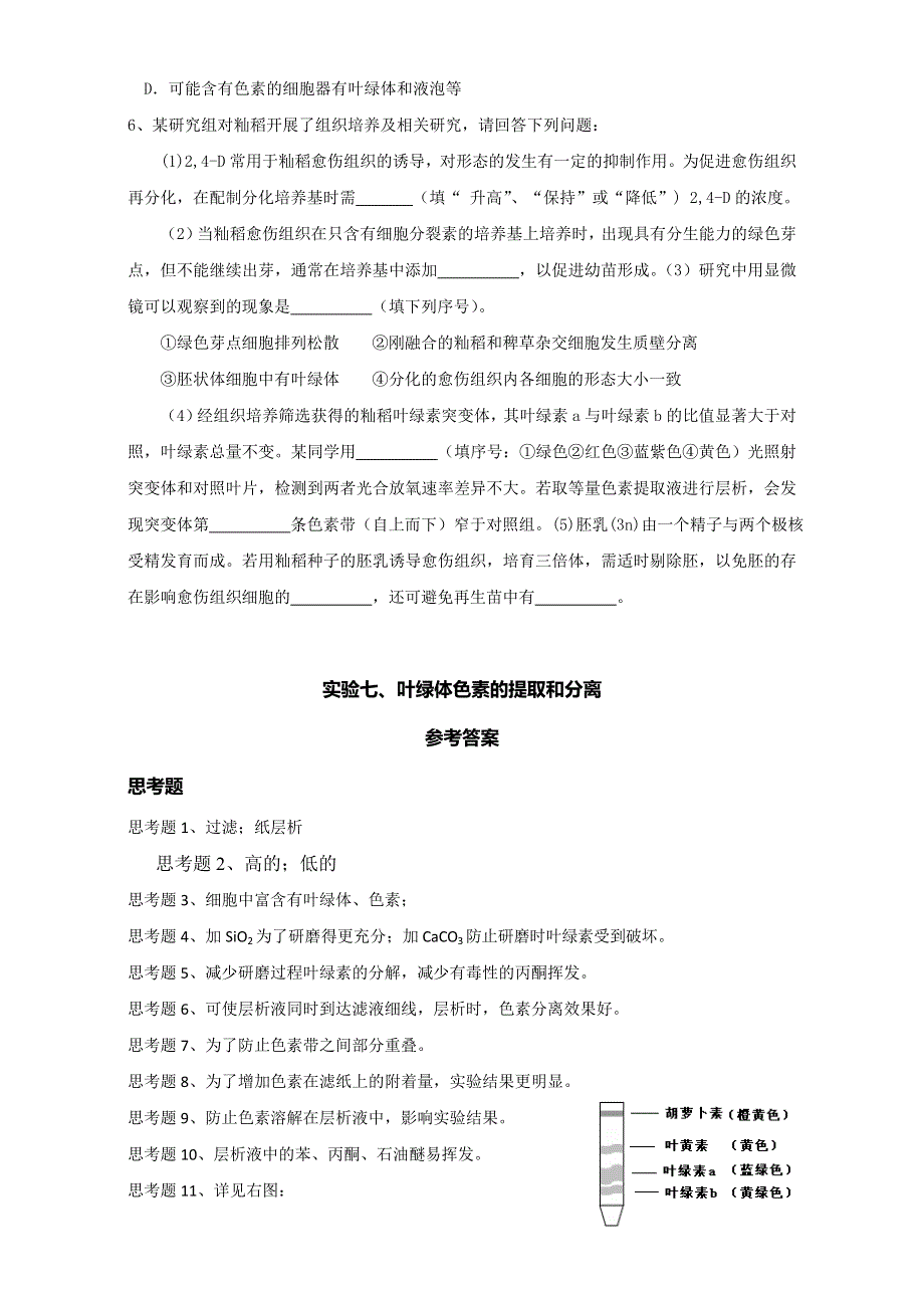 江苏省丹徒县大港中学2015届高三生物二轮复习学案：实验六、叶绿体色素的提取和分离 WORD版含答案.doc_第3页