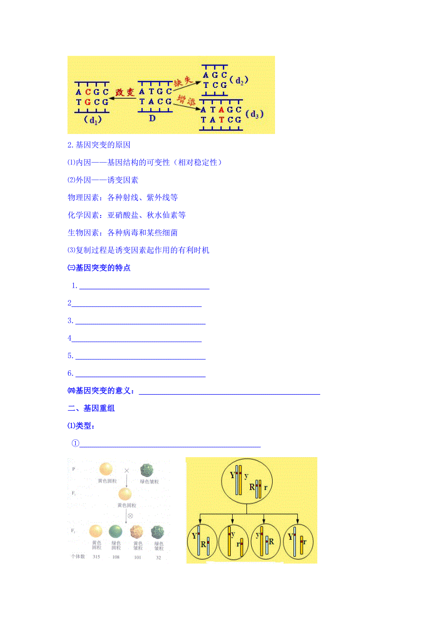 北京市第四中学2017届高考生物专题复习学案：1基因突变和基因重组 WORD版缺答案.doc_第3页