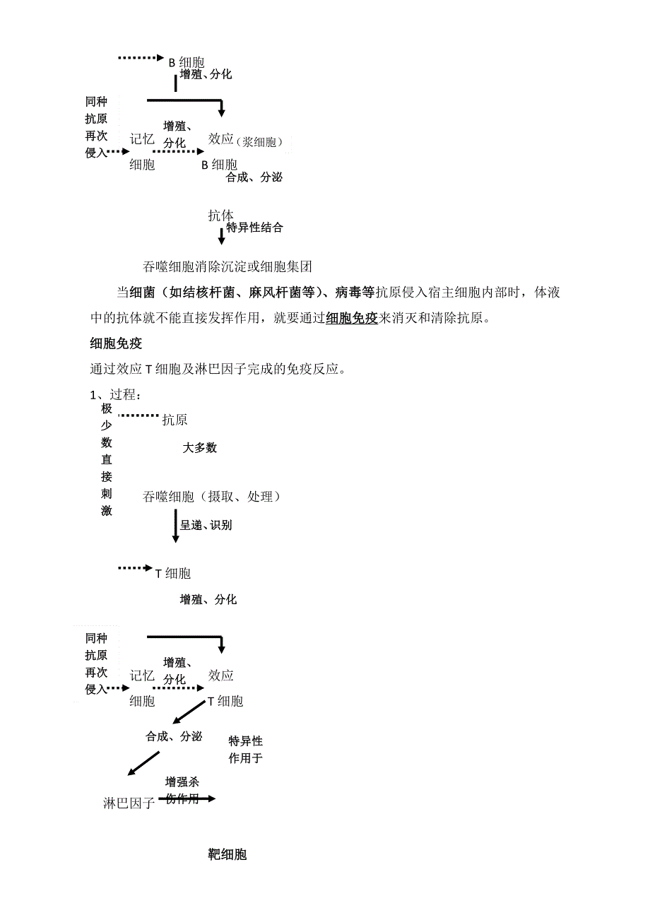 江苏省丹徒县大港中学高中生物必修三学案：2.4免疫调节1 WORD版无答案.doc_第3页