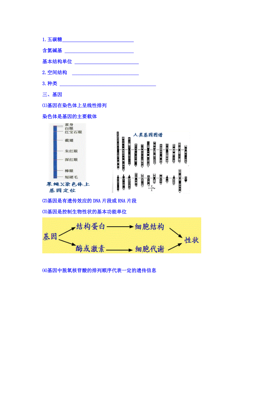 北京市第四中学2017届高考生物专题复习学案：2DNA、RNA的结构和基因 WORD版缺答案.doc_第2页