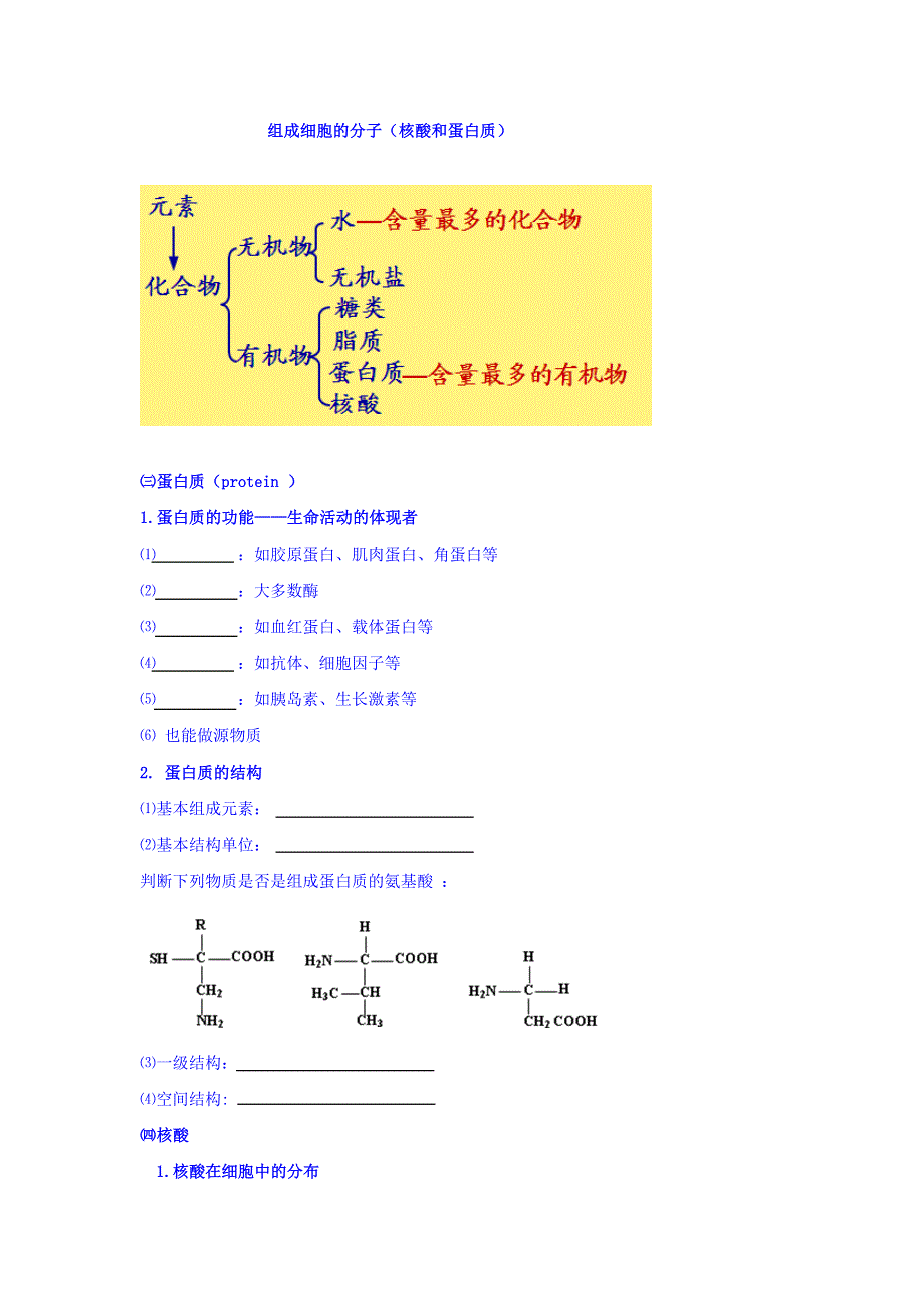 北京市第四中学2017届高考生物专题复习学案：3组成细胞的分子（核酸和蛋白质） WORD版缺答案.doc_第1页