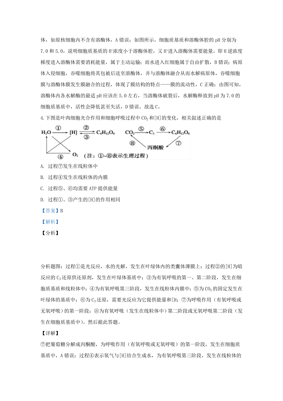 天津市南开区翔宇学校2020届高三生物下学期疫情期间线上检测试题（含解析）.doc_第3页