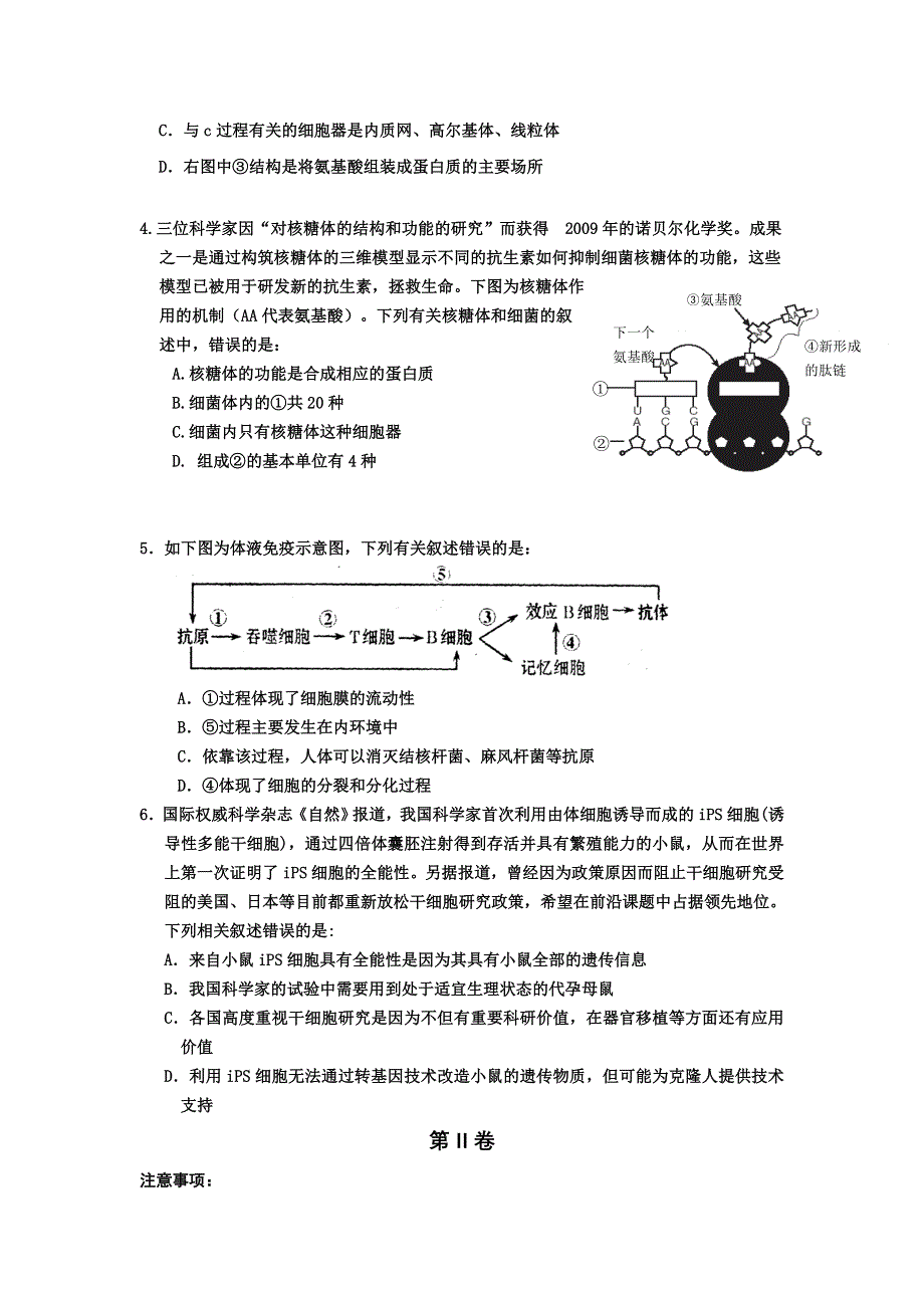 山东省莱芜一中2013届高三4月模拟考试生物试题 WORD版含答案.doc_第2页