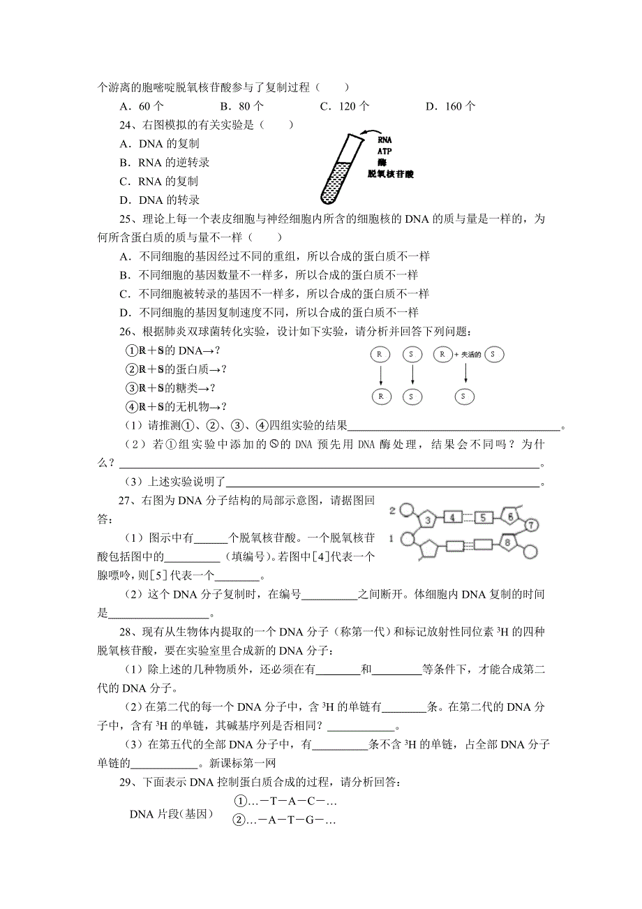 河北省保定市高阳中学2013-2014学年高一下学期第五次周练生物试题 WORD版含答案.doc_第3页