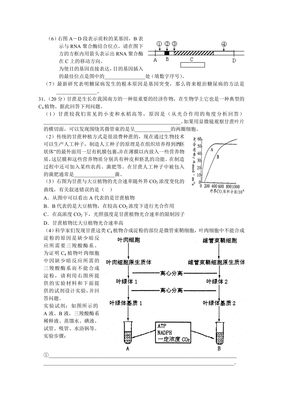 南充高中高2008级第二次月考理科综合试题（生物）.doc_第3页