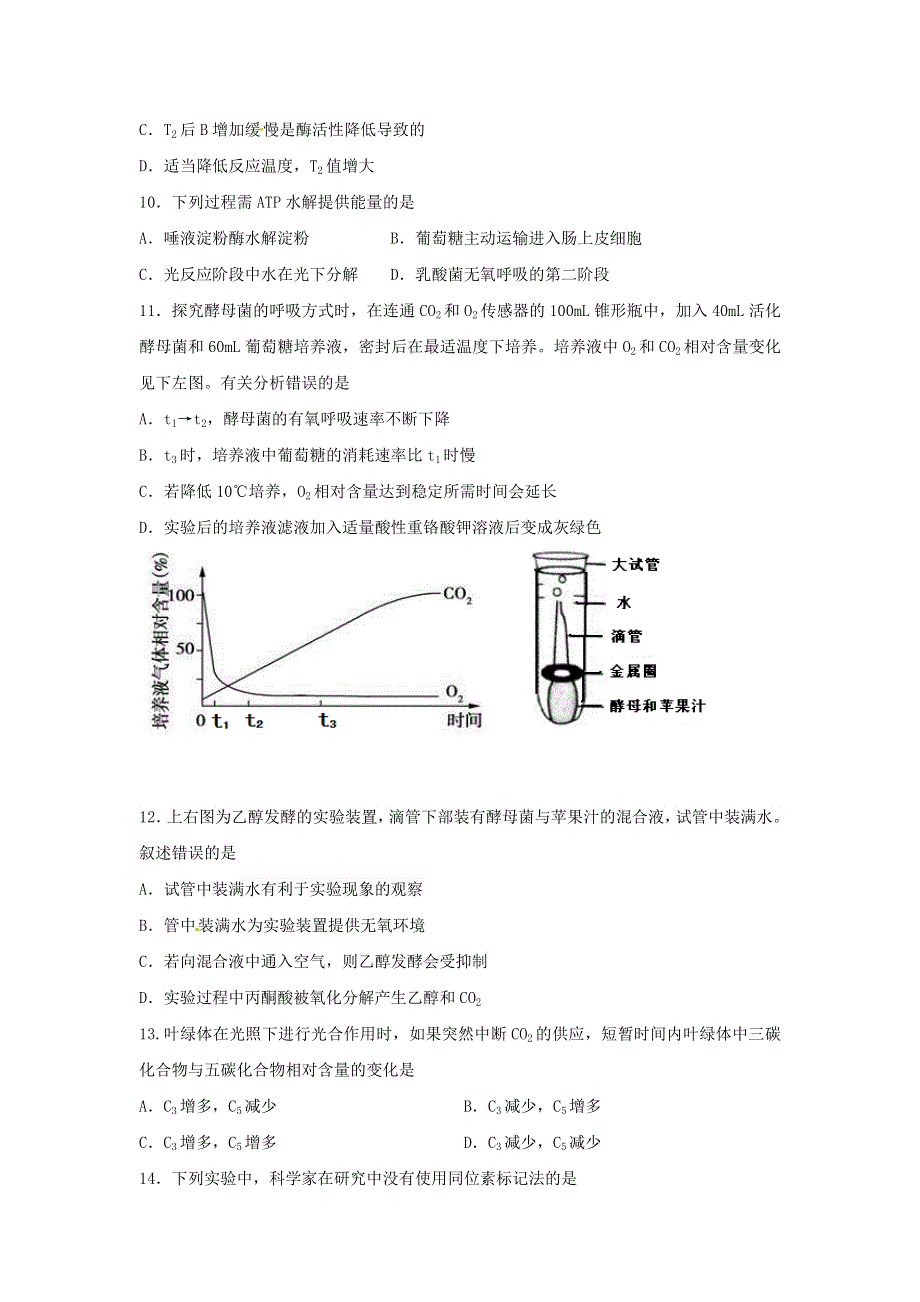 天津市耀华中学2019-2020学年高一上学期期末考试生物试题 WORD版含答案.doc_第3页