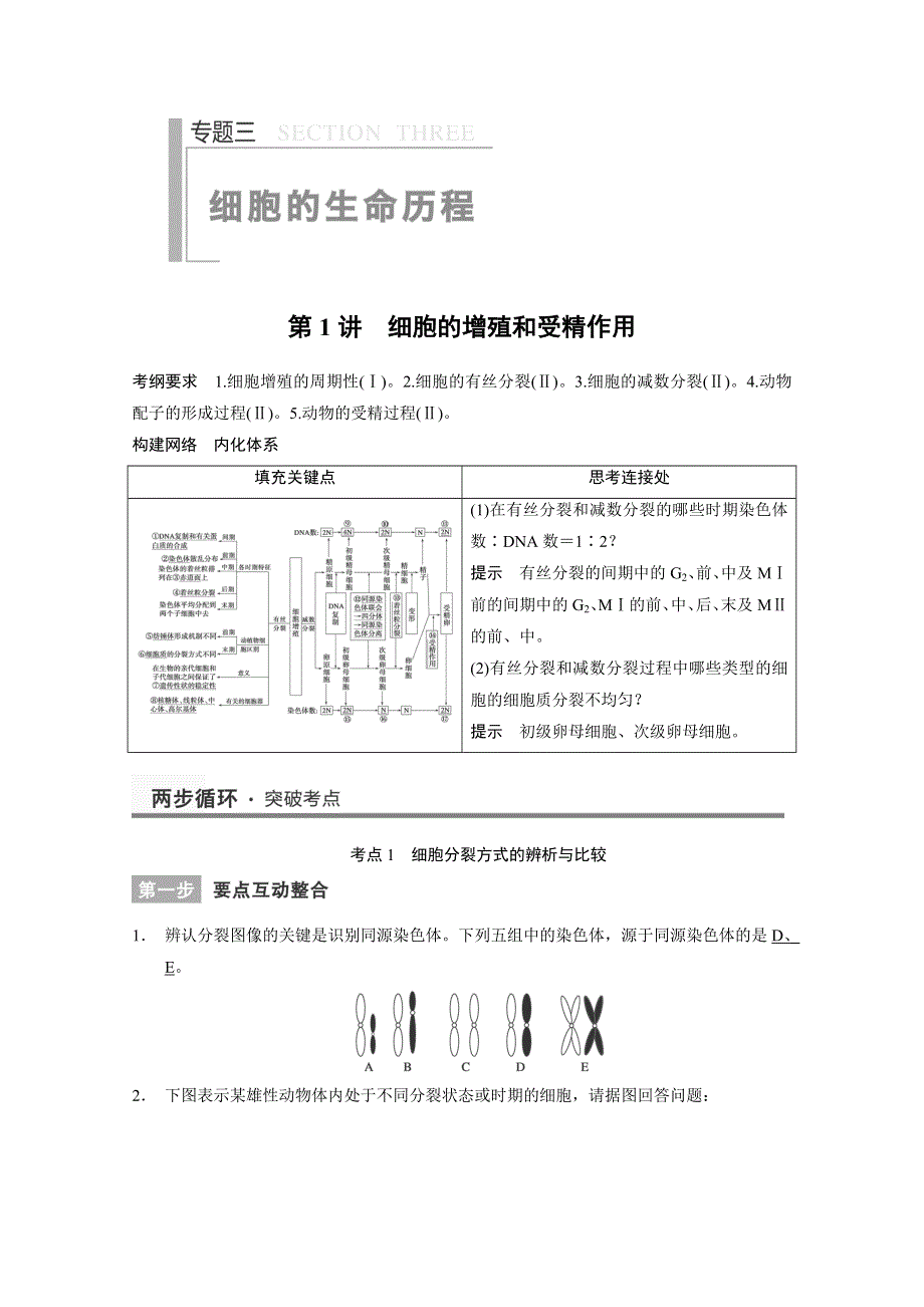 2014届高考生物二轮复习高效滚动冲击系列训练：专题三《细胞的生命历程》第1讲 WORD版含解析.doc_第1页