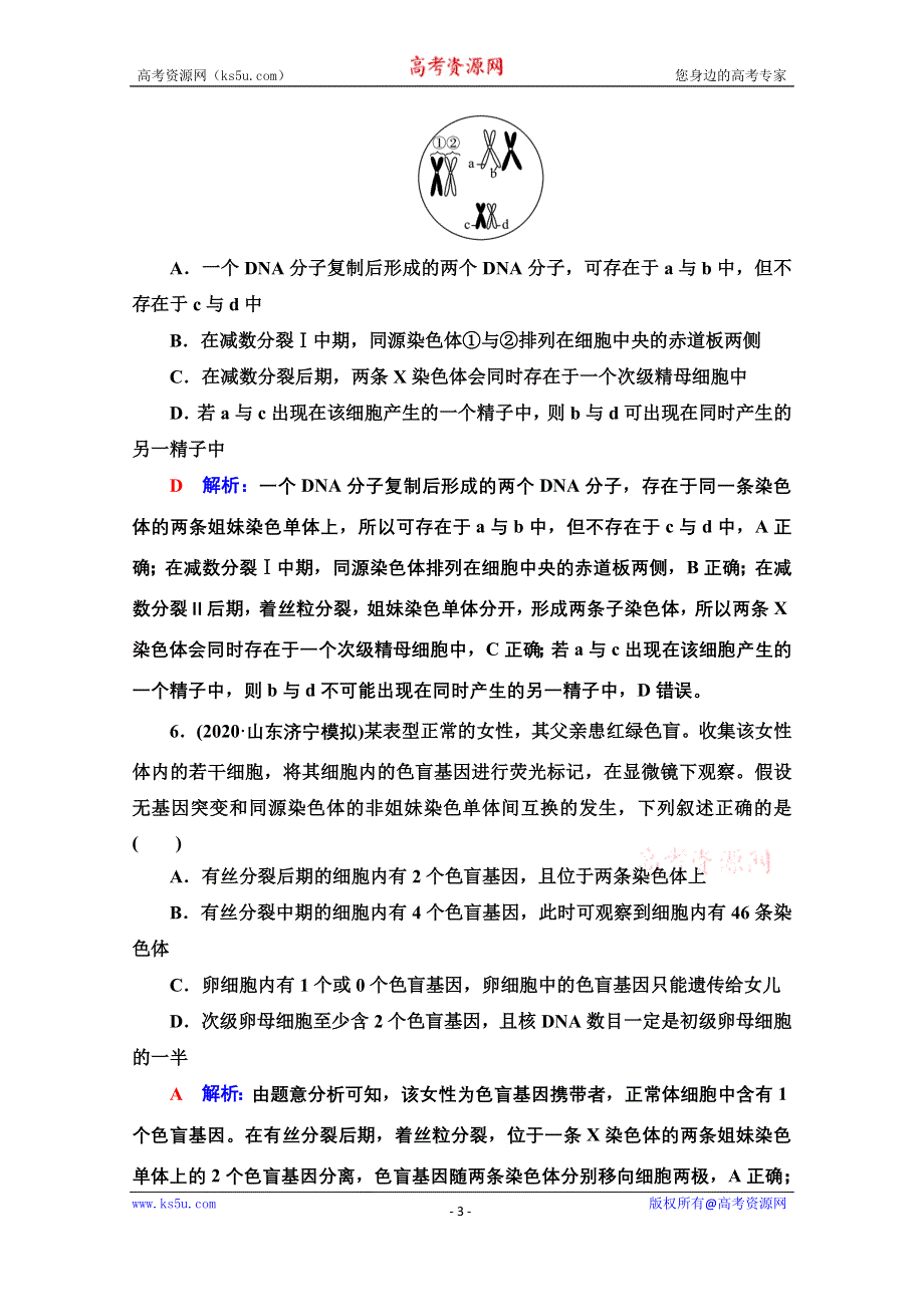 新教材2022版新高考生物人教版一轮总复习课时评价：11　减数分裂和受精作用 WORD版含解析.doc_第3页