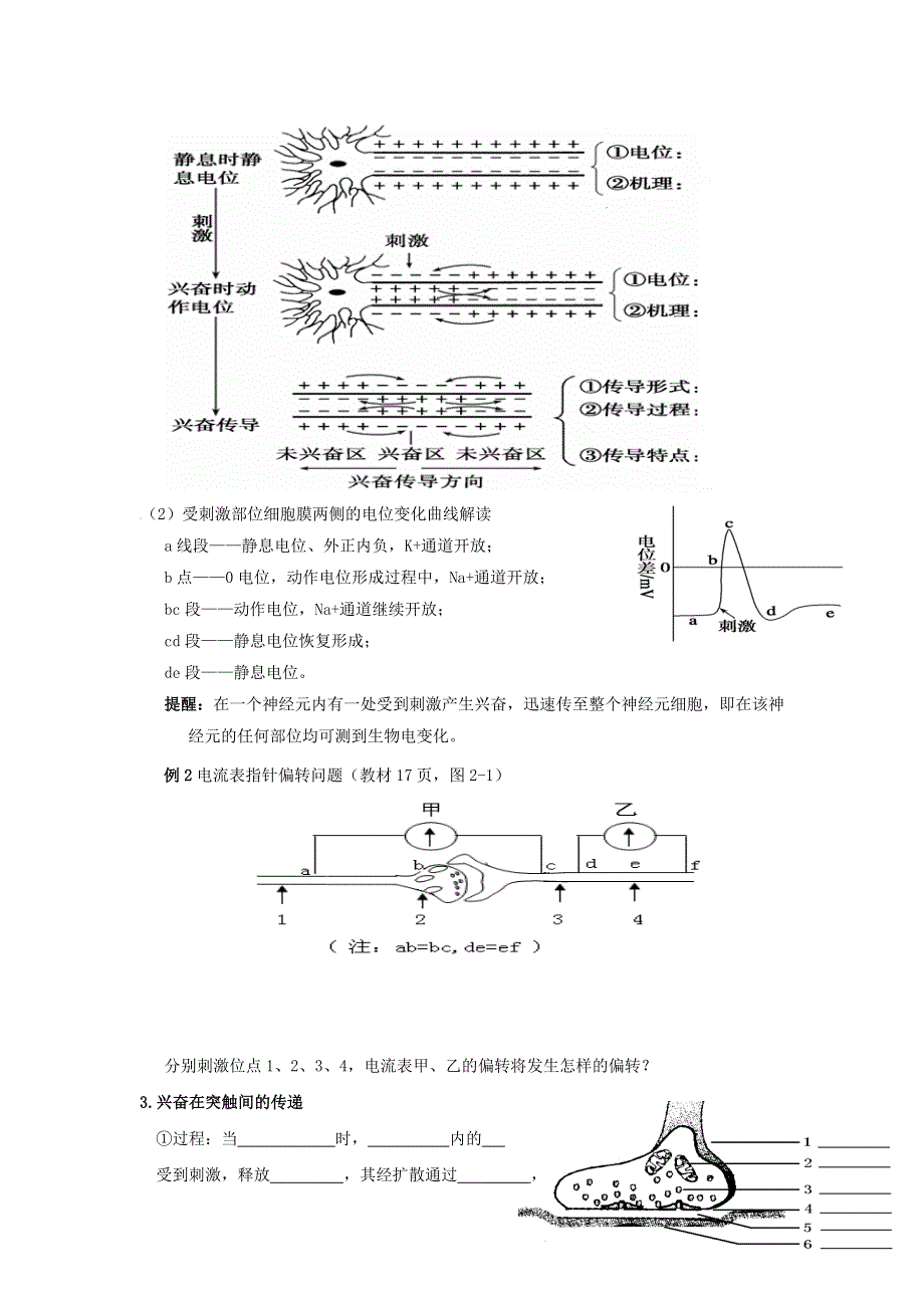 《名校推荐》辽宁省庄河市高级中学2017届高三生物一轮复习：神经调节 学案.doc_第2页