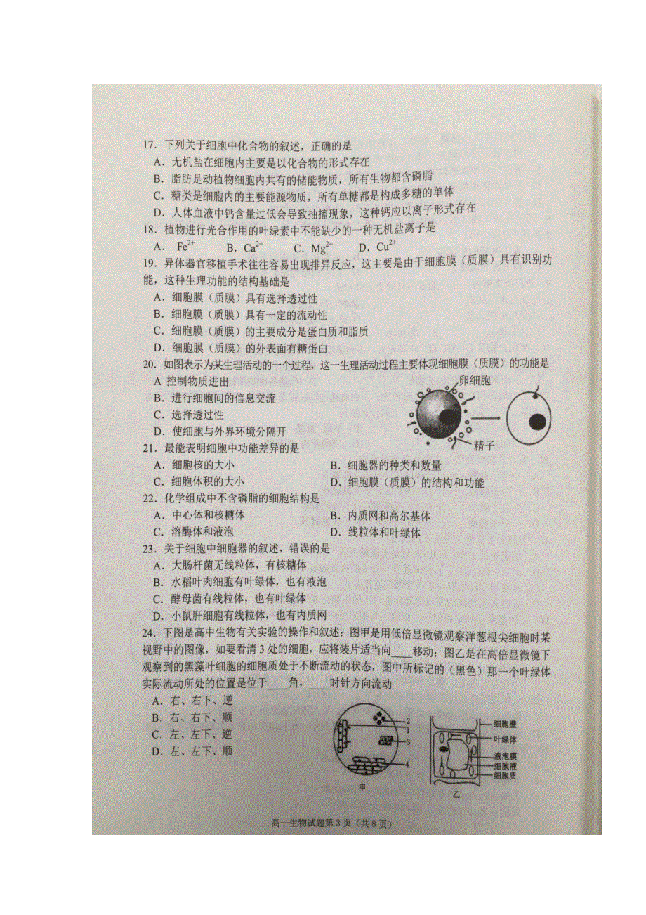 山东省邹城市2018-2019学年高一上学期期中考试生物试题 扫描版含答案.doc_第3页