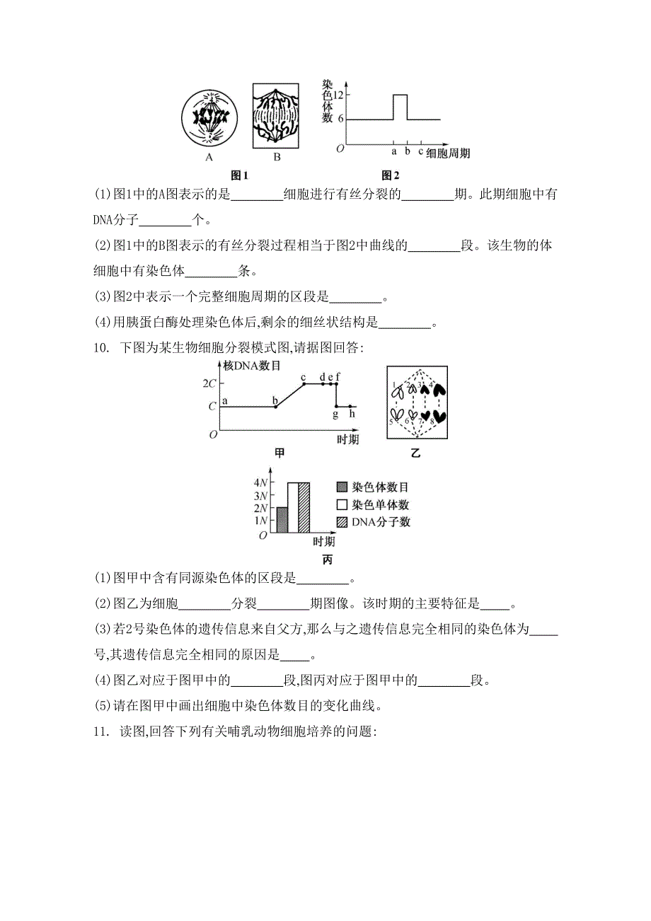 2014届高考生物总复习专题检测评估必修一第四单元 细胞的生命历程 第1讲 细胞增殖.doc_第3页