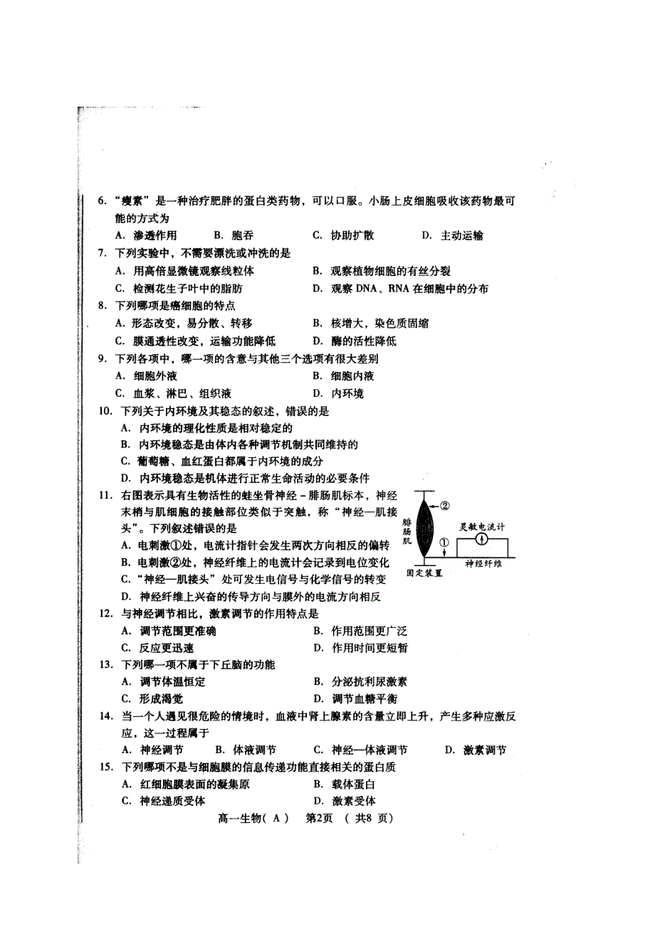 山东省诸城市2012-2013学年高一下学期期末考试生物试题 扫描版含答案.doc_第2页