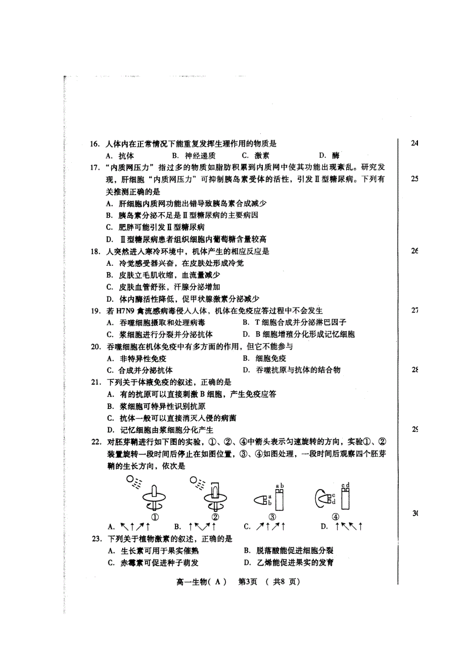 山东省诸城市2012-2013学年高一下学期期末考试生物试题 扫描版含答案.doc_第3页