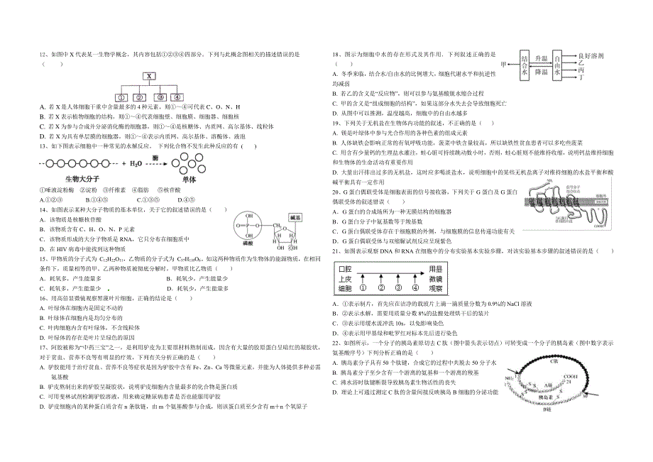 江西省鄱阳县第一中学2019-2020学年高一上学期第二次检测生物试卷 WORD版含答案.pdf_第2页