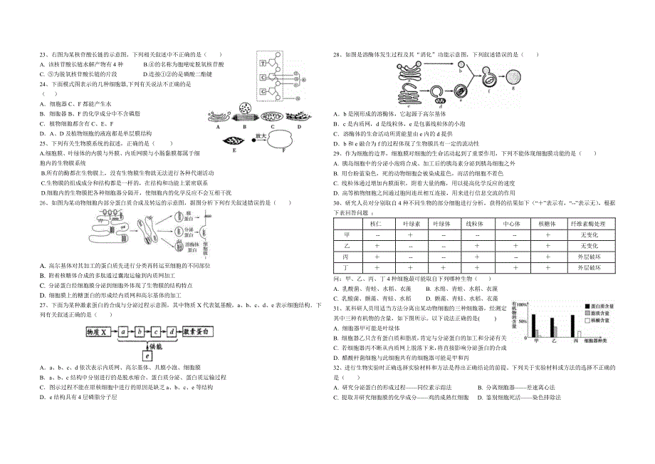 江西省鄱阳县第一中学2019-2020学年高一上学期第二次检测生物试卷 WORD版含答案.pdf_第3页