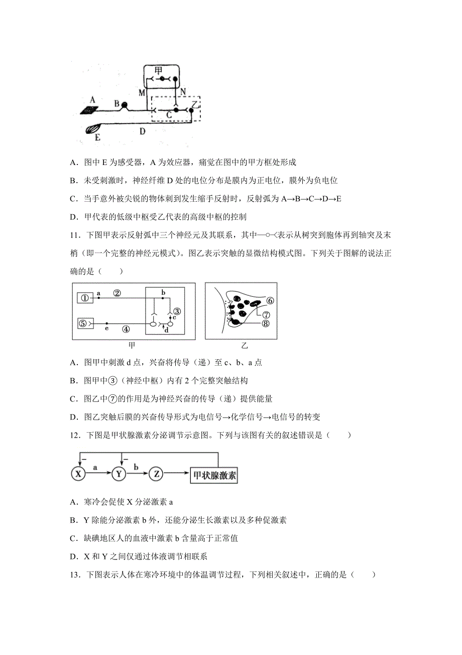 吉林省辉南县第六中学2021-2022学年高二上学期10月周测（实验班）生物试题 WORD版缺答案.doc_第3页