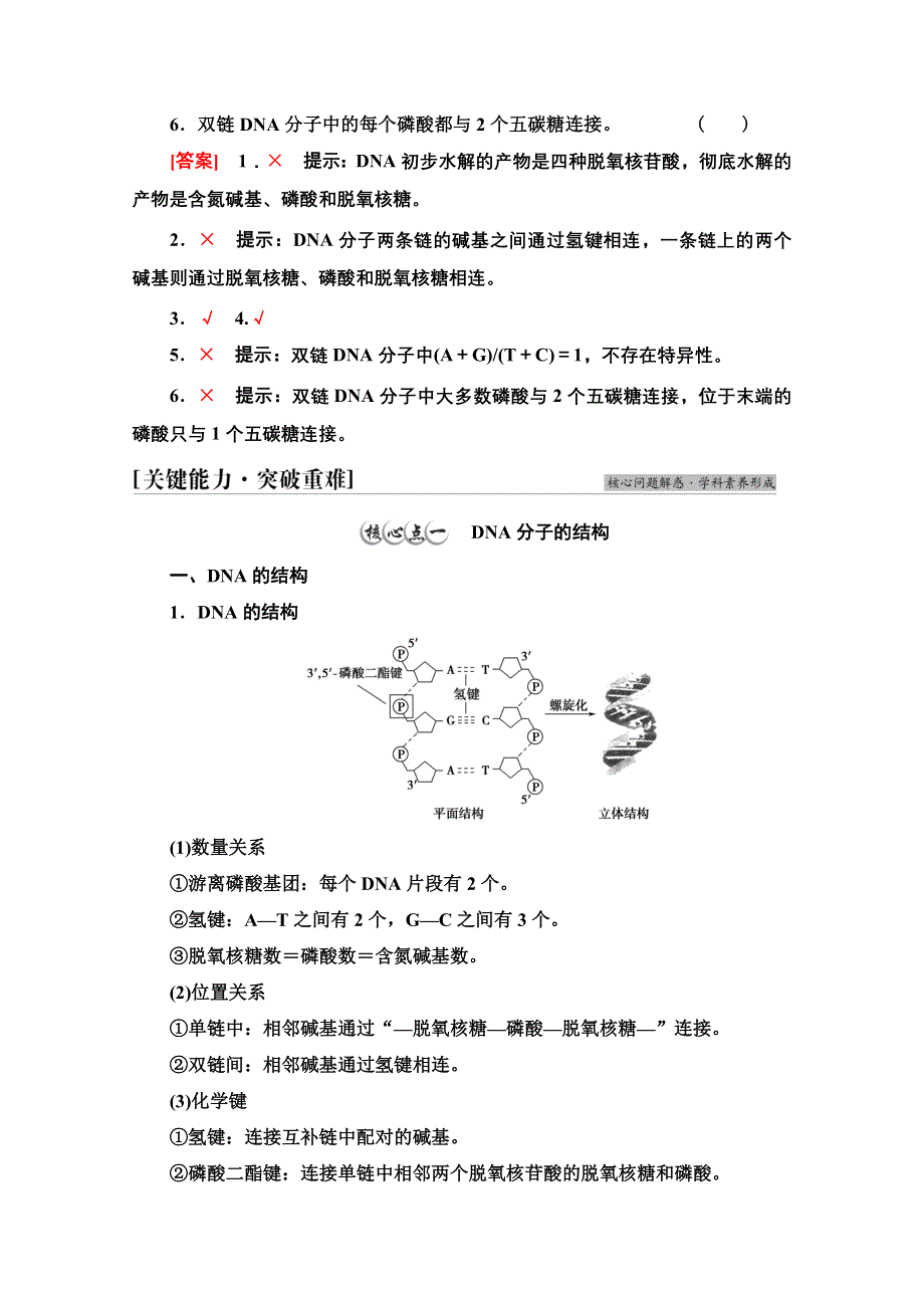 2021-2022学年新教材苏教版生物必修2学案：第2章 第2节 第1课时　DNA分子的结构 WORD版含解析.doc_第3页