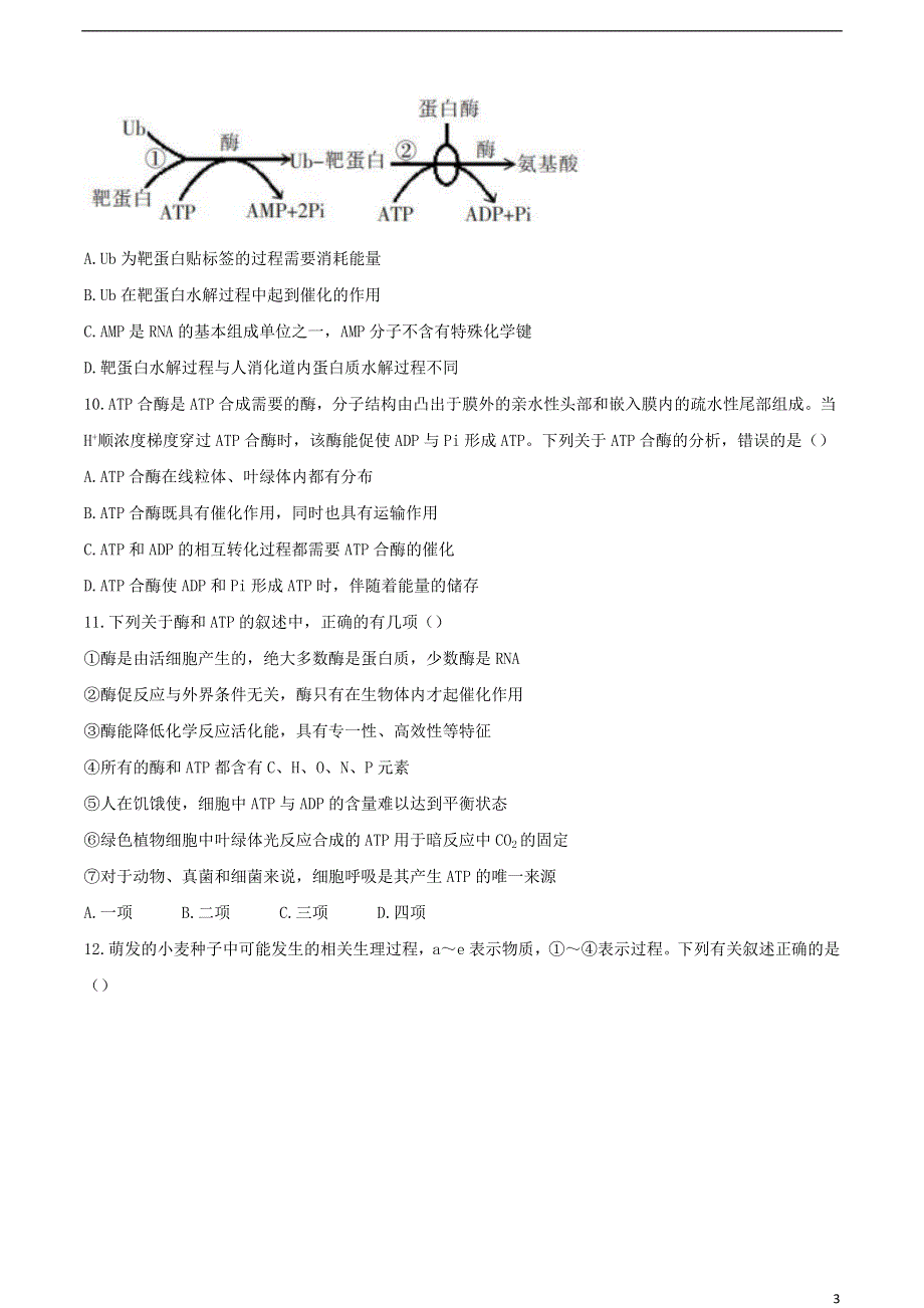 广东省珠海市第二中学2020-2021学年高一生物12月月考试题.doc_第3页