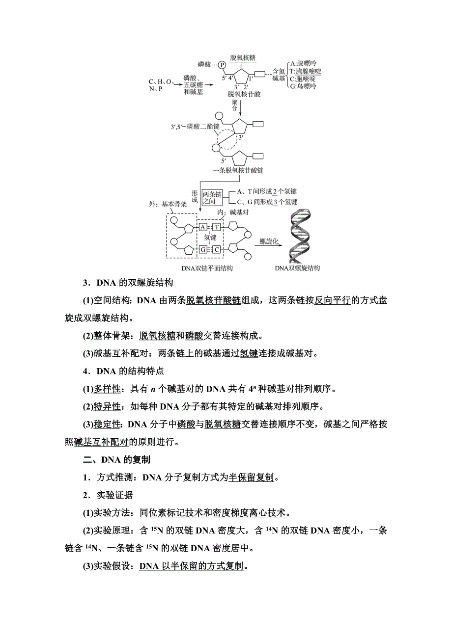 新教材2022版新高考生物人教版一轮总复习学案：必修2 第6单元 第17课　DNA的结构、复制和基因的本质 WORD版含解析.doc_第2页