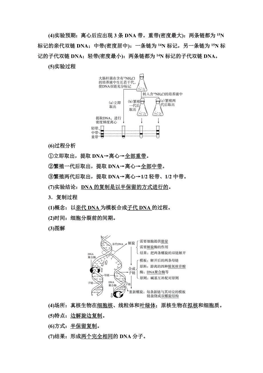 新教材2022版新高考生物人教版一轮总复习学案：必修2 第6单元 第17课　DNA的结构、复制和基因的本质 WORD版含解析.doc_第3页