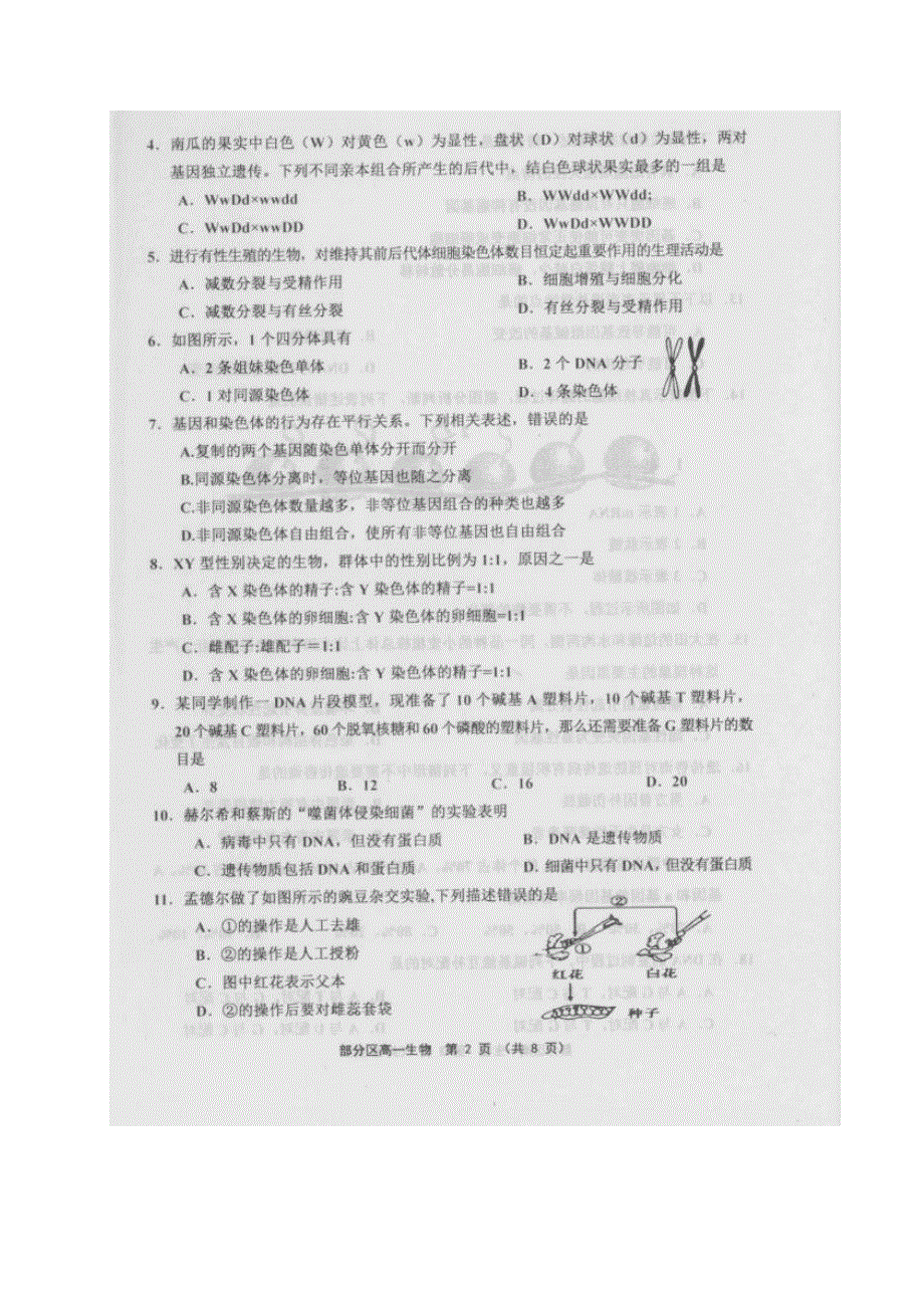 天津市部分区2019-2020学年高一下学期期末考试生物试题（图片版） 扫描版含答案.pdf_第2页