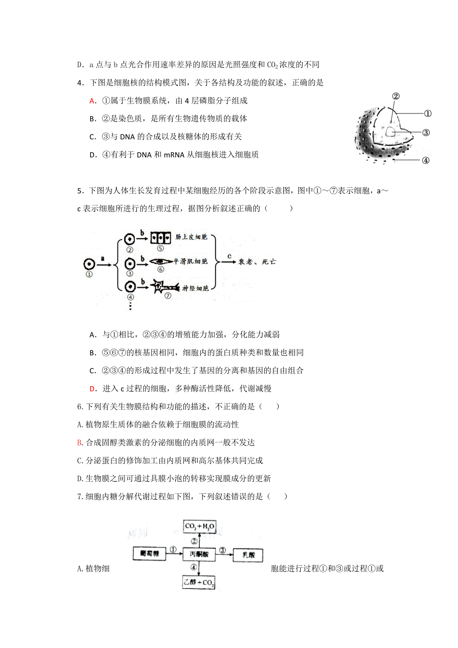 《首发》陕西省咸阳市武功县绿野高中2013届高三上学期摸底考试生物试题 WORD版含答案.doc_第2页